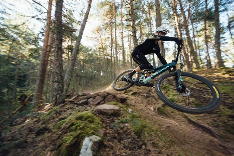 Orbea Rise M-LTD 29er Mountain Bike 2022 Sap White/Green Fog-4